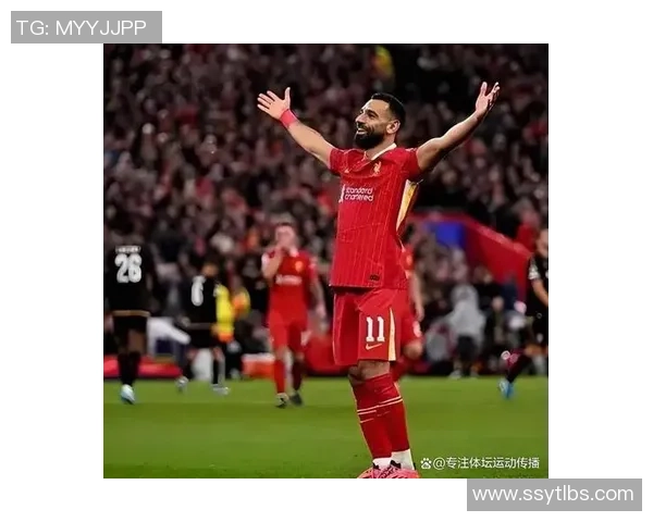 全球足球冠军荣耀榜单 十大球星排名揭晓 谁是史上最强球员